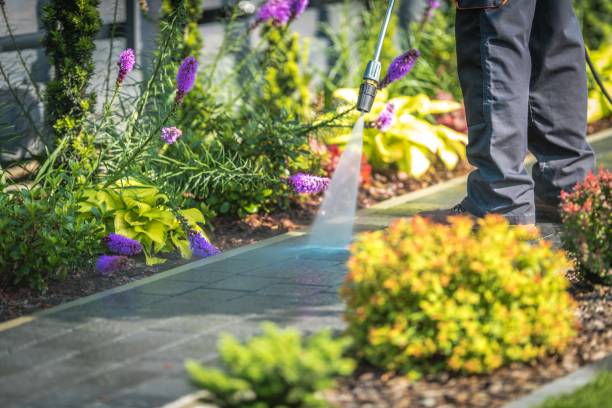 Best Dumpster Area Cleaning  in Spring Valley Lake, CA